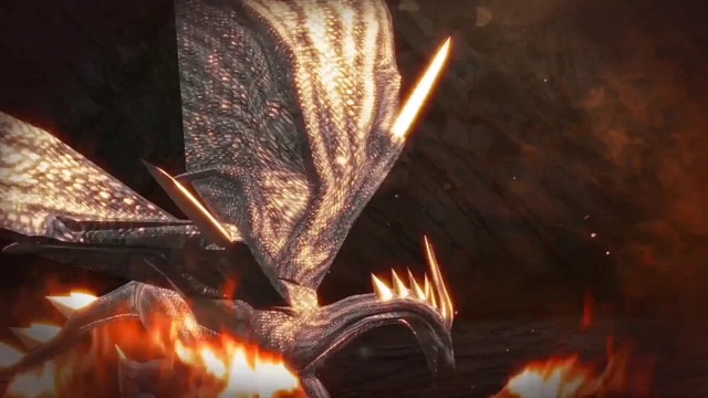 追风怀我们回来了！