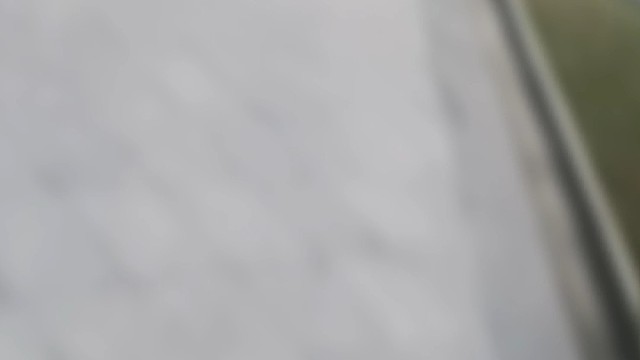 自由，自律，砖一，缺一不可