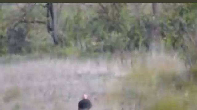 打累了出来方便下，结果芭比Q了