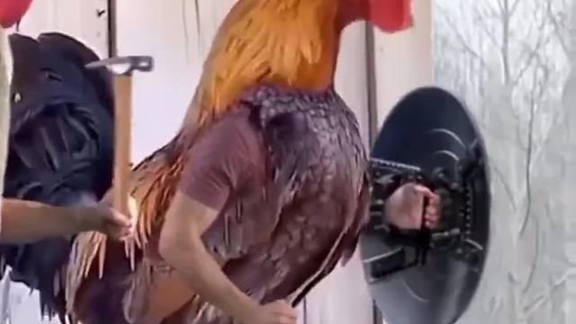 哈哈哈哈哈冲啊！！！！！！！