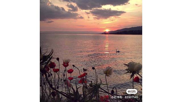 我会一直等，等故事发声。长留一盏灯，陪我到夜深