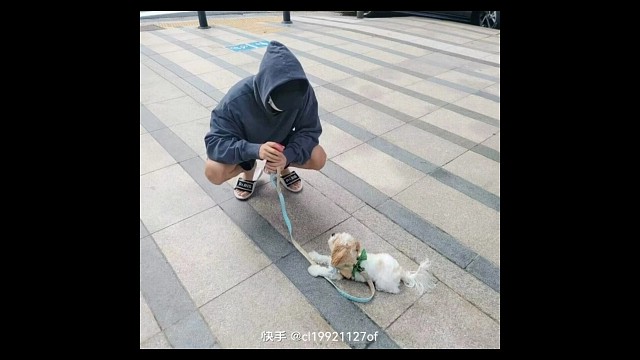 朴灿烈混剪安利向