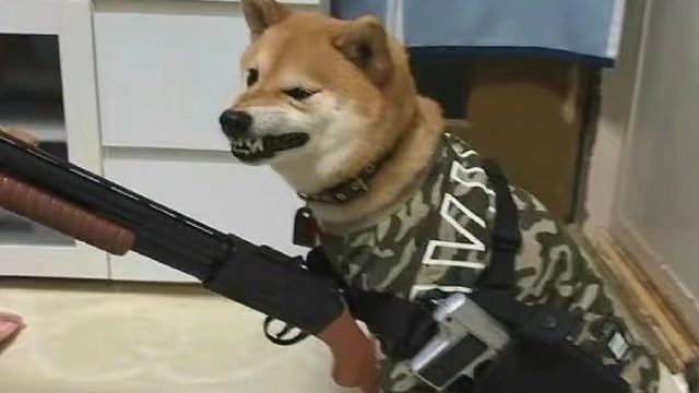 血猎-顶级老六的对决