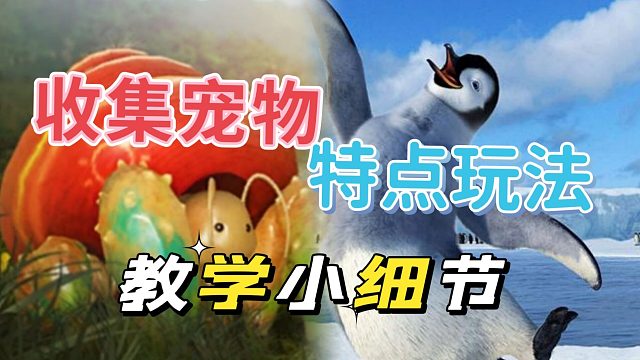 黑色沙漠手游：寄居蟹获取，细节盘点决定一切