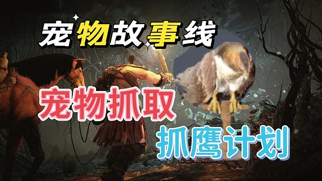 黑色沙漠手游：宠物故事线，抓鹰计划细节盘点。