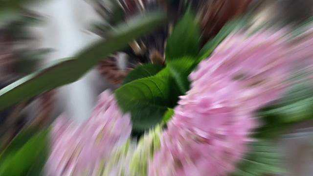 很喜欢一句话：生活各自不易，个人所求不同，各自立场不一，勿在别人心中修行自己，勿在自己心中强求别人…