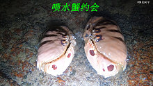 阿平赶海遇到了两只在约会的面包蟹，它们还会喷水特别有意思