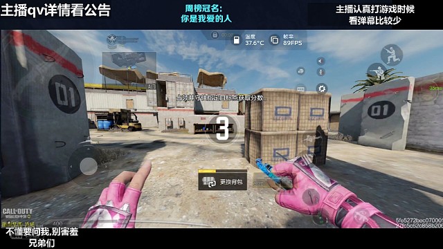 摆烂