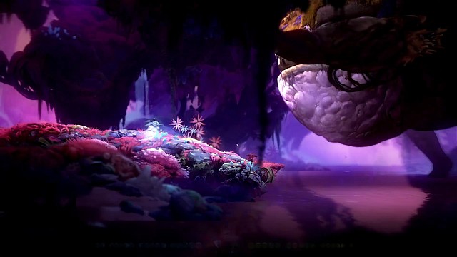 ori2赖克宝的倔强