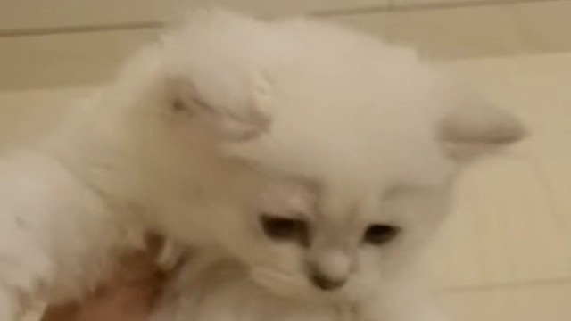 我发布了一个新视频，快来围观吧！