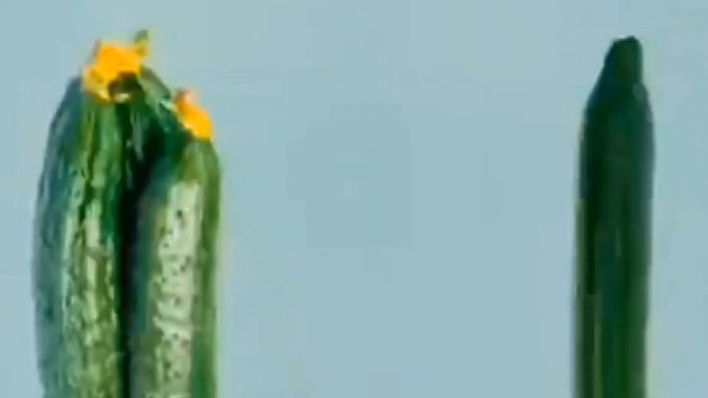 蔬菜怎么挑才会更好吃