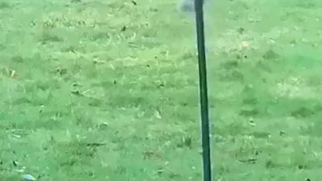 松鼠：就吃点东西，至于吗