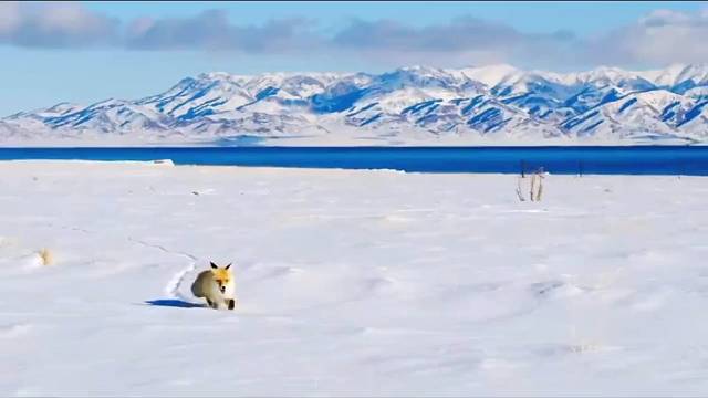 爱生活，爱万物。