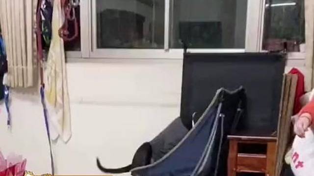 爷爷抱孙子他就这样吃醋了