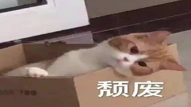 欢迎来到我的直播间