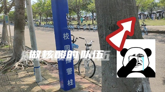 当你上课又安排核酸时