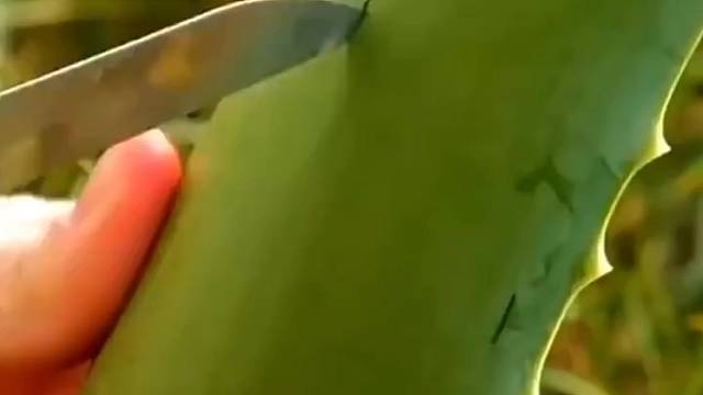 创意生活小技巧