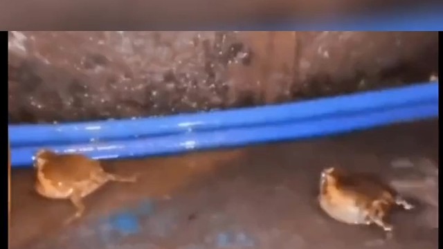 好担心它们相互撞击的时候会把泡泡弄破