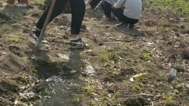 大家有没有想家
的？