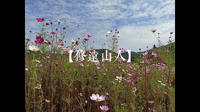 【修远山人】《射乌山的花》