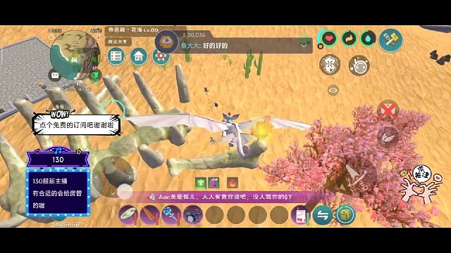 每晚教捡龙草赚金