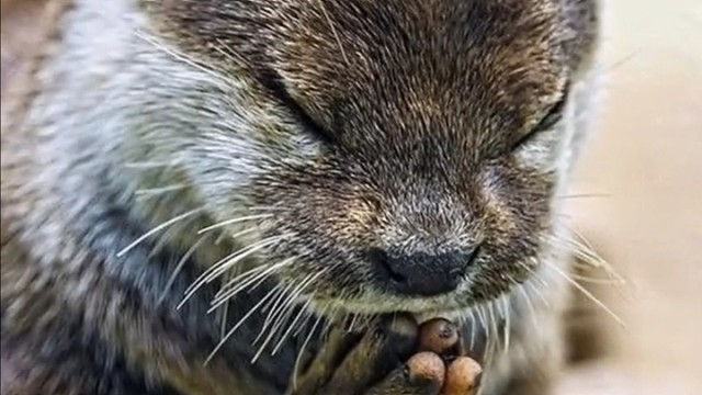 双手合十，做自己的神