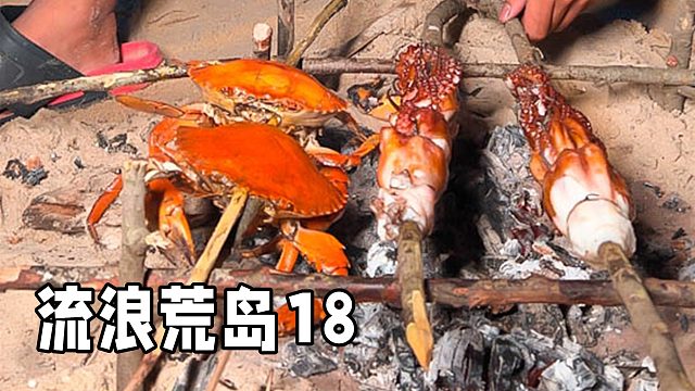 荒岛生存18，收获两只青蟹后赶海发现八爪鱼，在庇护所烤着吃