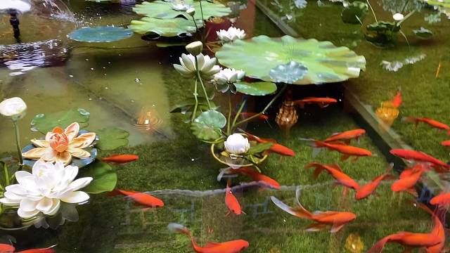 请保持那份热爱，奔赴下一场山海