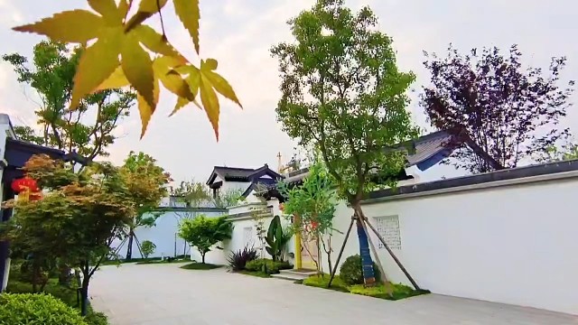 我发布了一个新视频，快来围观吧！