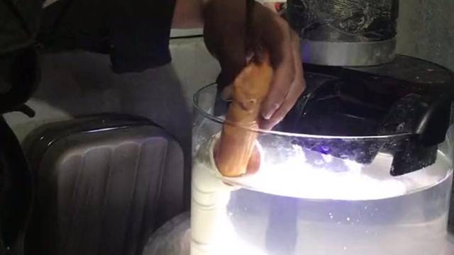 这养的什么宠物看着我头皮发麻