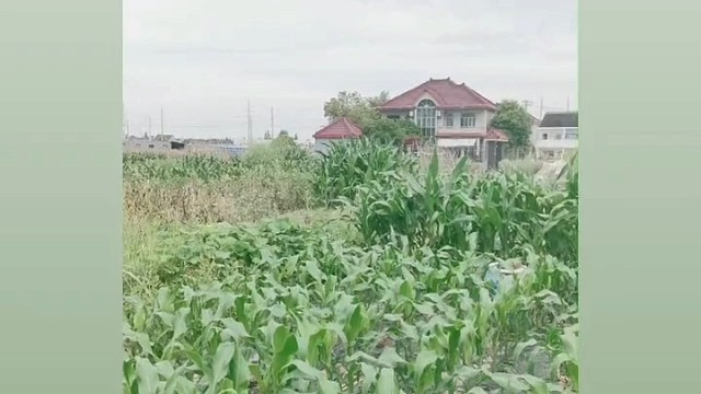 生活处处是风景