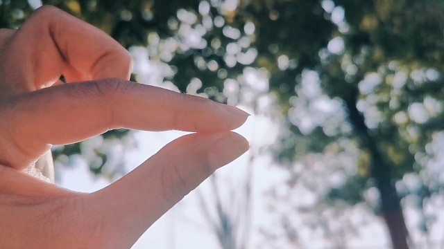 最后的校园回忆