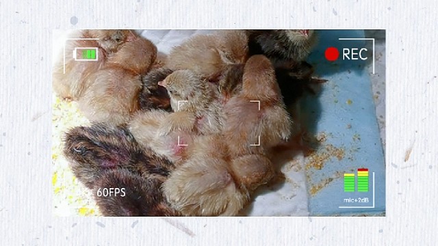 生活到处是阳光