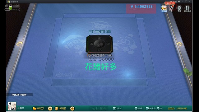 这么多花猪，是人干的事？