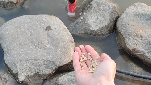 上海野生动物园