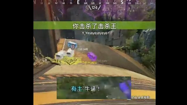 果然...还是拳头最好用