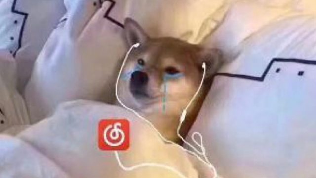 郁郁了 安静刷刷图～～～