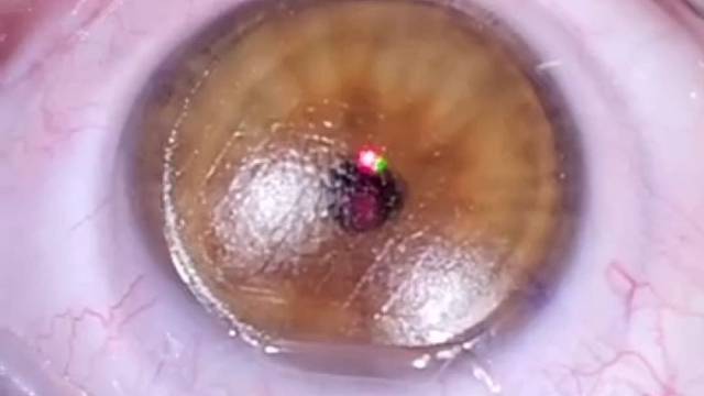 兄弟们这是在干嘛你们知道吗？