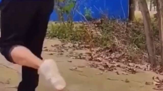 史上金鸡百花奖得主竟然是它