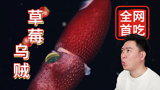 全網(wǎng)首吃最漂亮的魷魚，帶鉆石的草莓魷魚，不會(huì)最后一個(gè)視頻吧