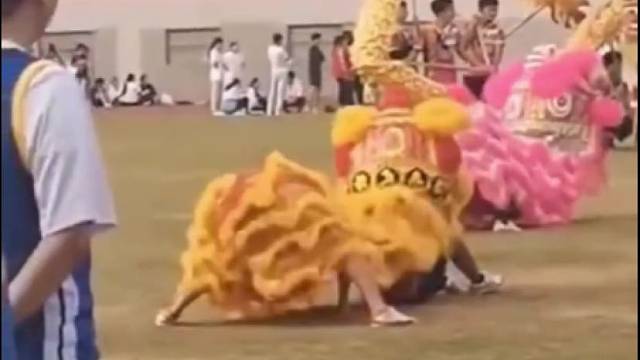 这只狮子麻烦你自重