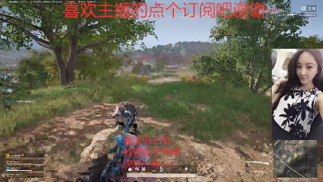 我是一只小菜鸟