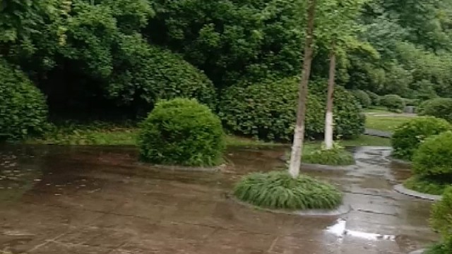 杭州又下雨了