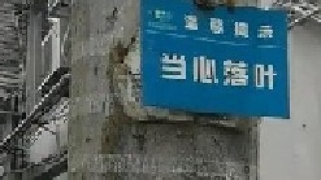 1小时竞技，奶花视角-片段2