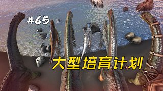 方舟65：將眾多恐龍帶回戀愛(ài)屋，期待新生命來(lái)臨
