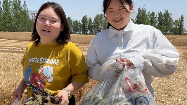 老公和农村下地收麦，妞妞燕子送七个菜犒劳，一家人勤奋干活小康
