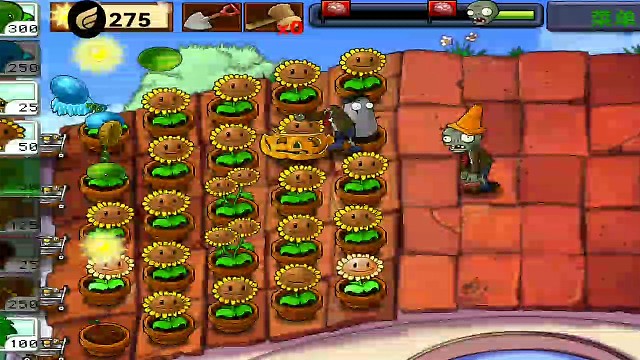 植物大战僵尸，屋顶无尽快速阳光，带双向日葵