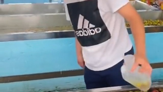 一粒红尘妃子笑，无人知是荔枝来