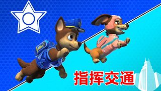 汪汪隊立大功：阿奇指揮交通 冒險城市在召喚