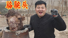 450元买了一个骆驼头，做个“酱香骆驼头”，肉烂自然香，过瘾